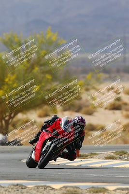 media/Apr-10-2022-SoCal Trackdays (Sun) [[f104b12566]]/Turn 5 Tree of Life (1040am)/